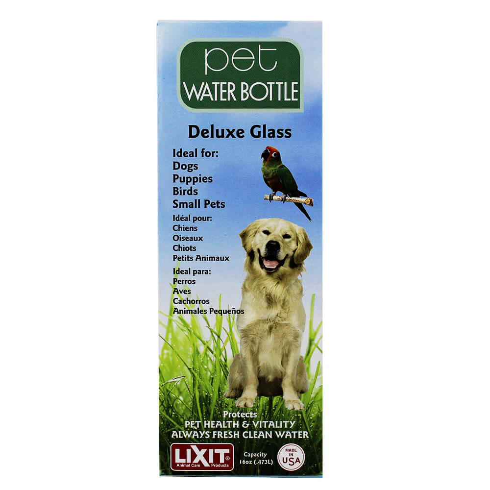 Lixit Glass Water Bottle, 16 oz with Tube - Buy Pet Shop