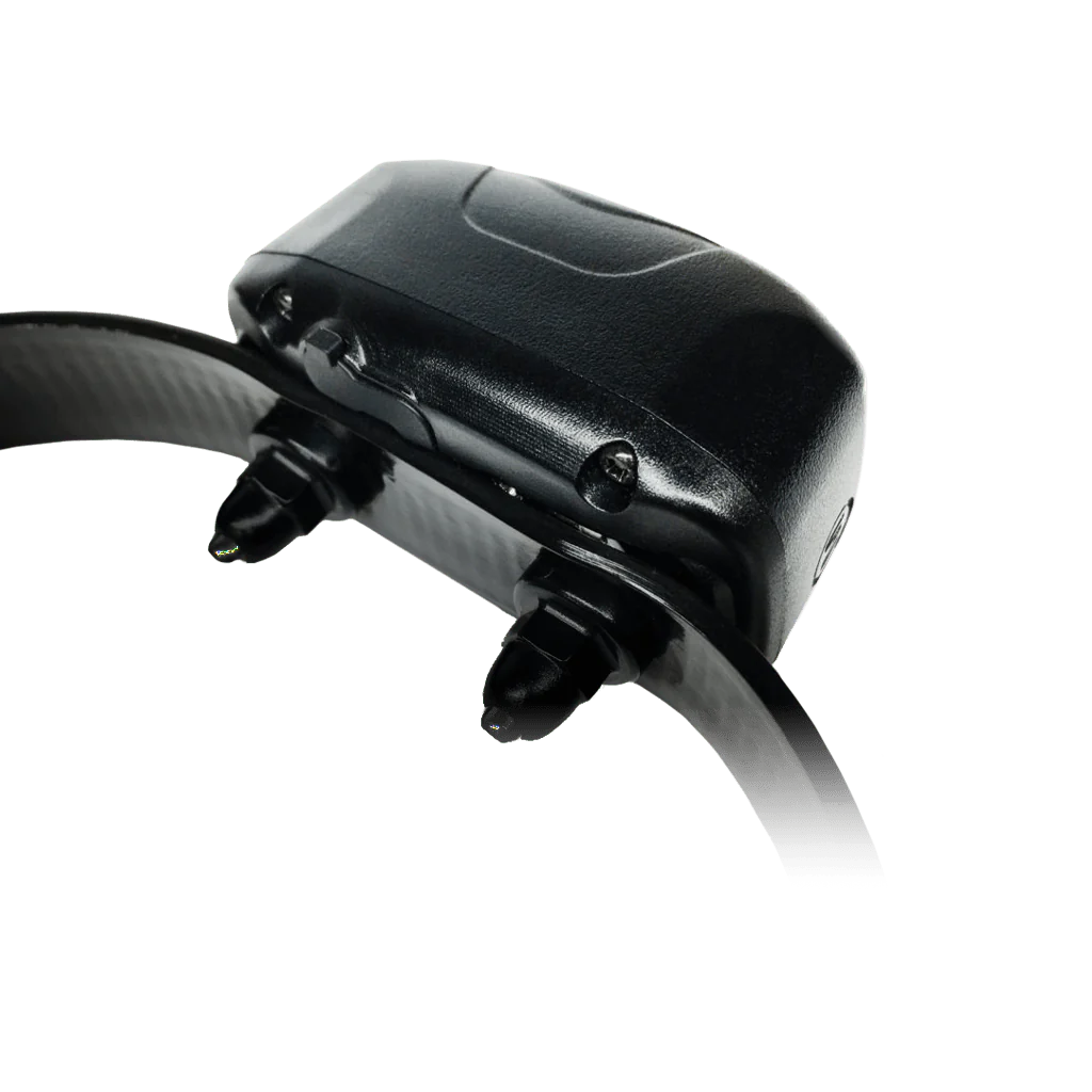 D.O.G DIrector 700, Add-On Collar - Buy Pet Shop