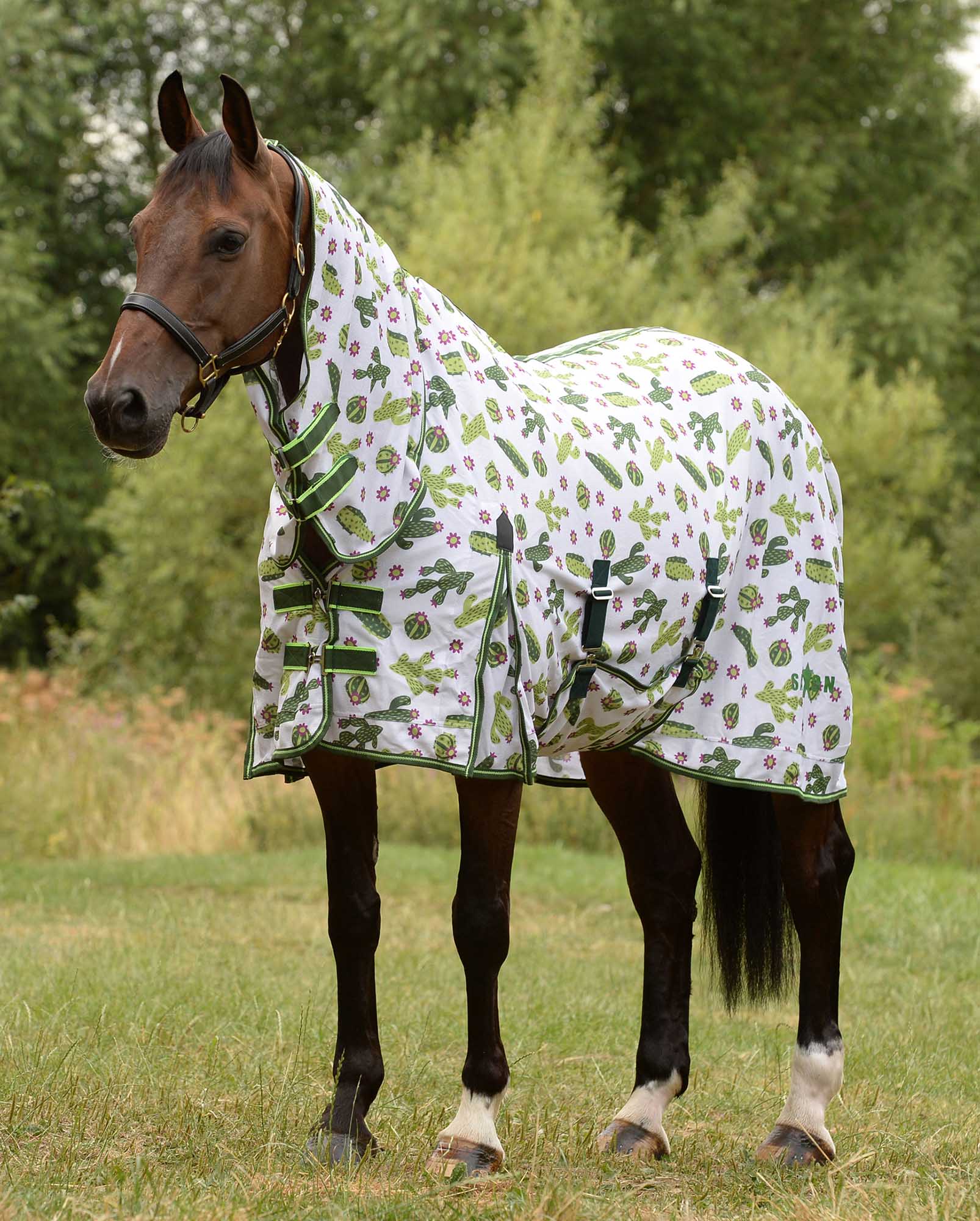 Saxon Combo Neck Horse Fly Sheet with Belly Wrap, Cactus - Buy Pet Shop
