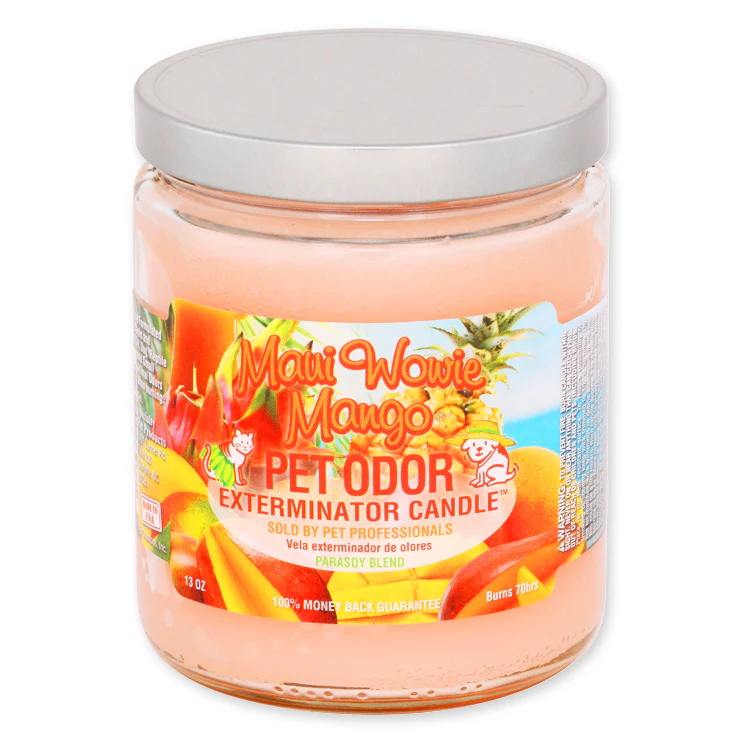Pet Odor Exterminator Candle, Maui Wowie Mango, 13 oz - Buy Pet Shop