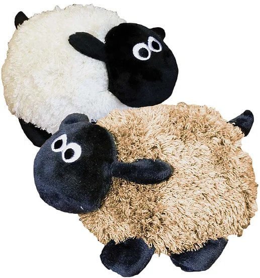 Sheldon Sheep, 8