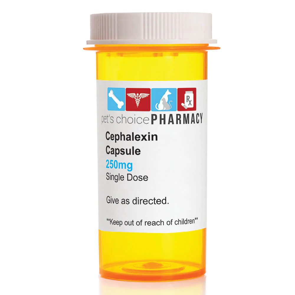 Rx Cephalexin (Generic) Capsules for Dogs & Cats - Buy Pet Shop