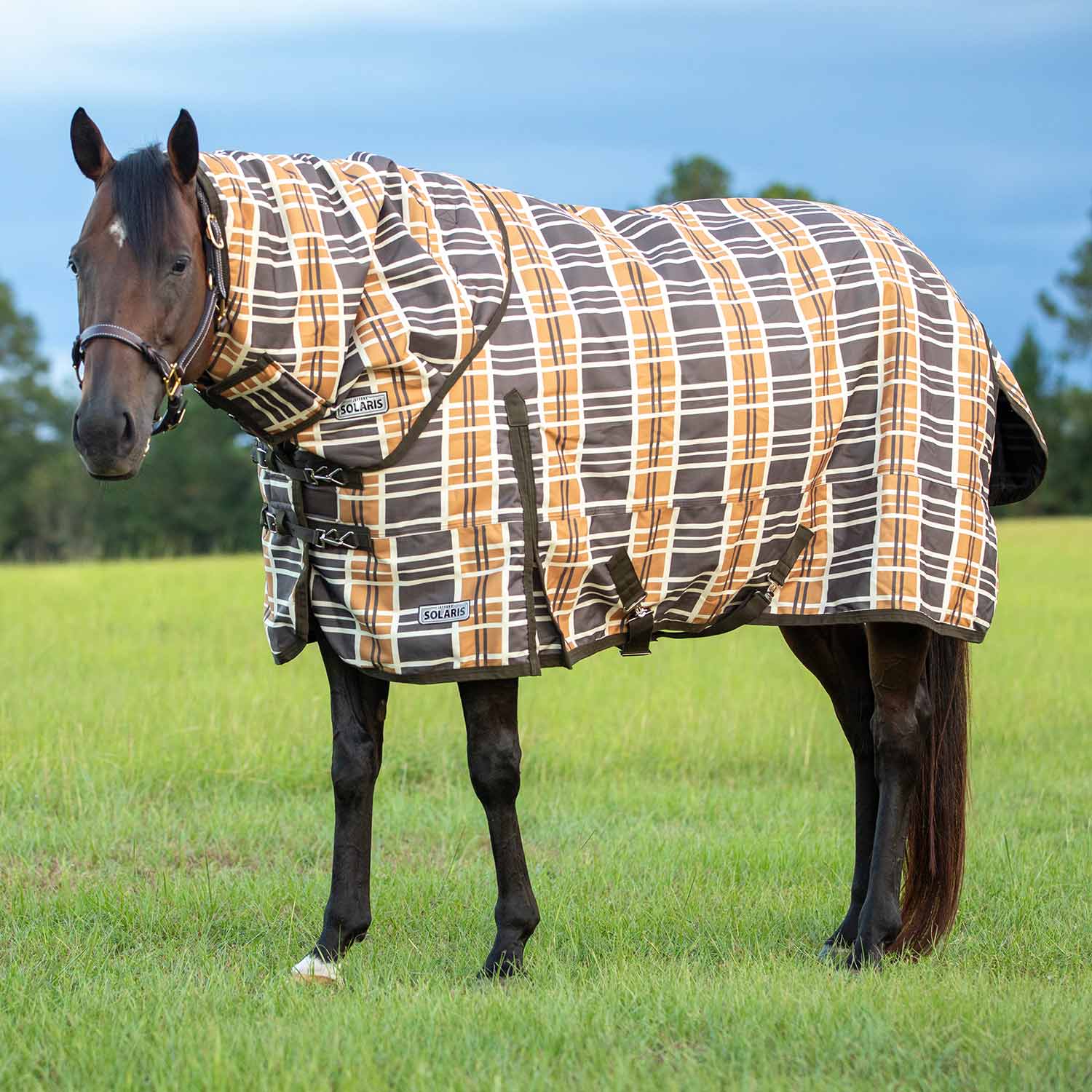 Solaris 1200 Denier Heavyweight Horse Turnout Blanket with Neck Rug. 360g Fill, Brown & Cream Plaid - Buy Pet Shop