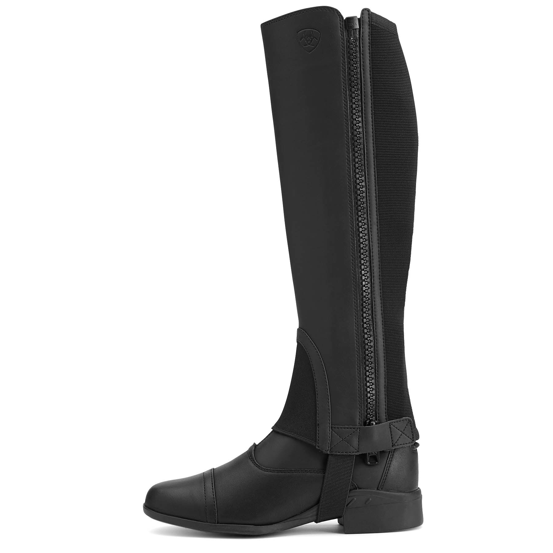 Ariat Scout Half Chap, Adult, Black - Buy Pet Shop