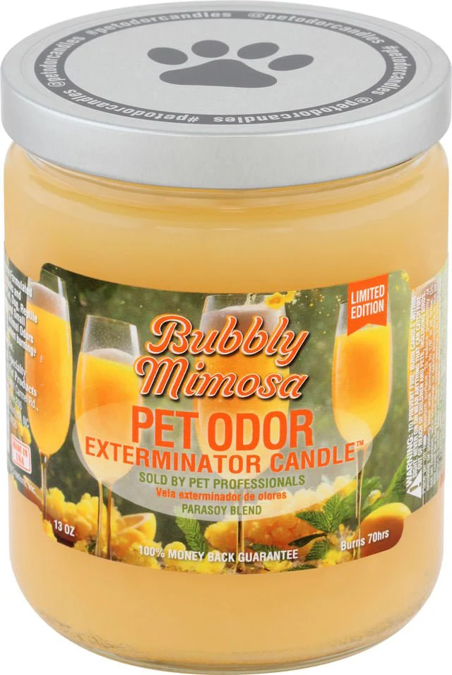 Pet Odor Exterminator Candle, Bubbly Mimosa, 13 oz - Buy Pet Shop