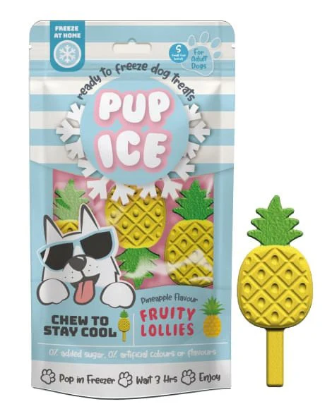 Pup Ice Fruity Lollies, 3pk - Buy Pet Shop