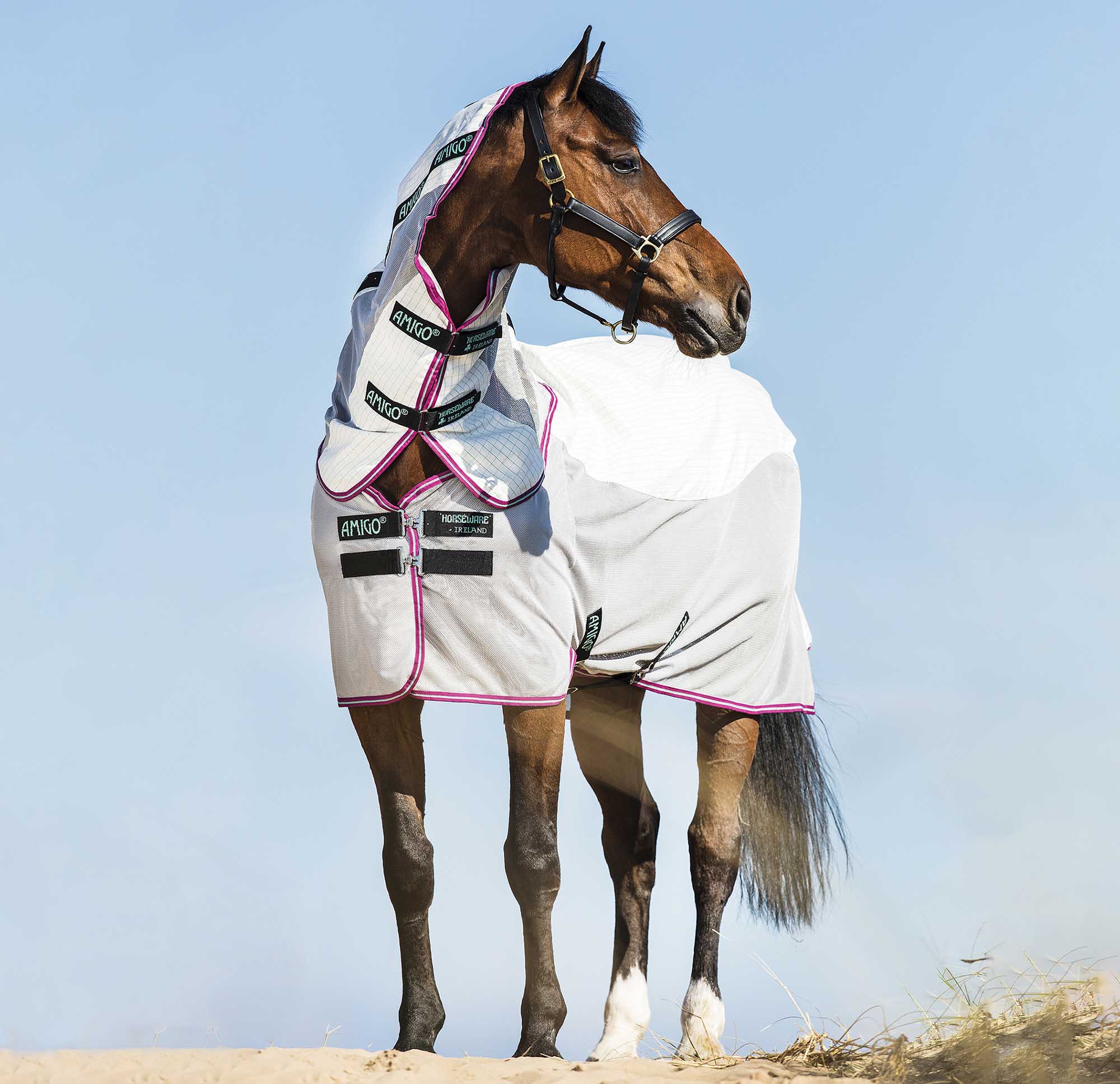 Amigo Airflow Sheet, White/Grn/Pur/Mint - Buy Pet Shop