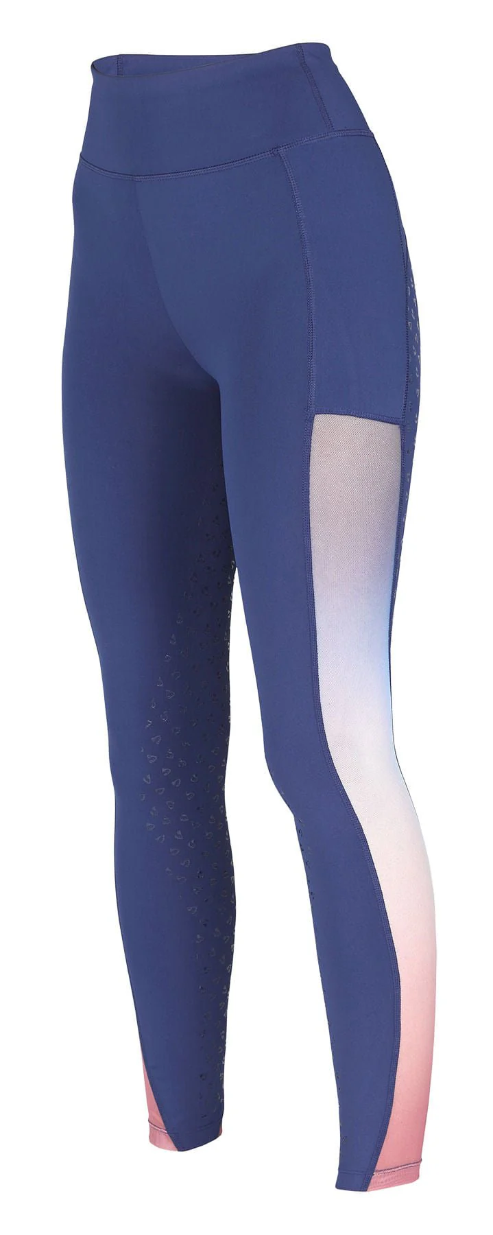 Aubrion Leyton Mesh Riding Tights - Buy Pet Shop