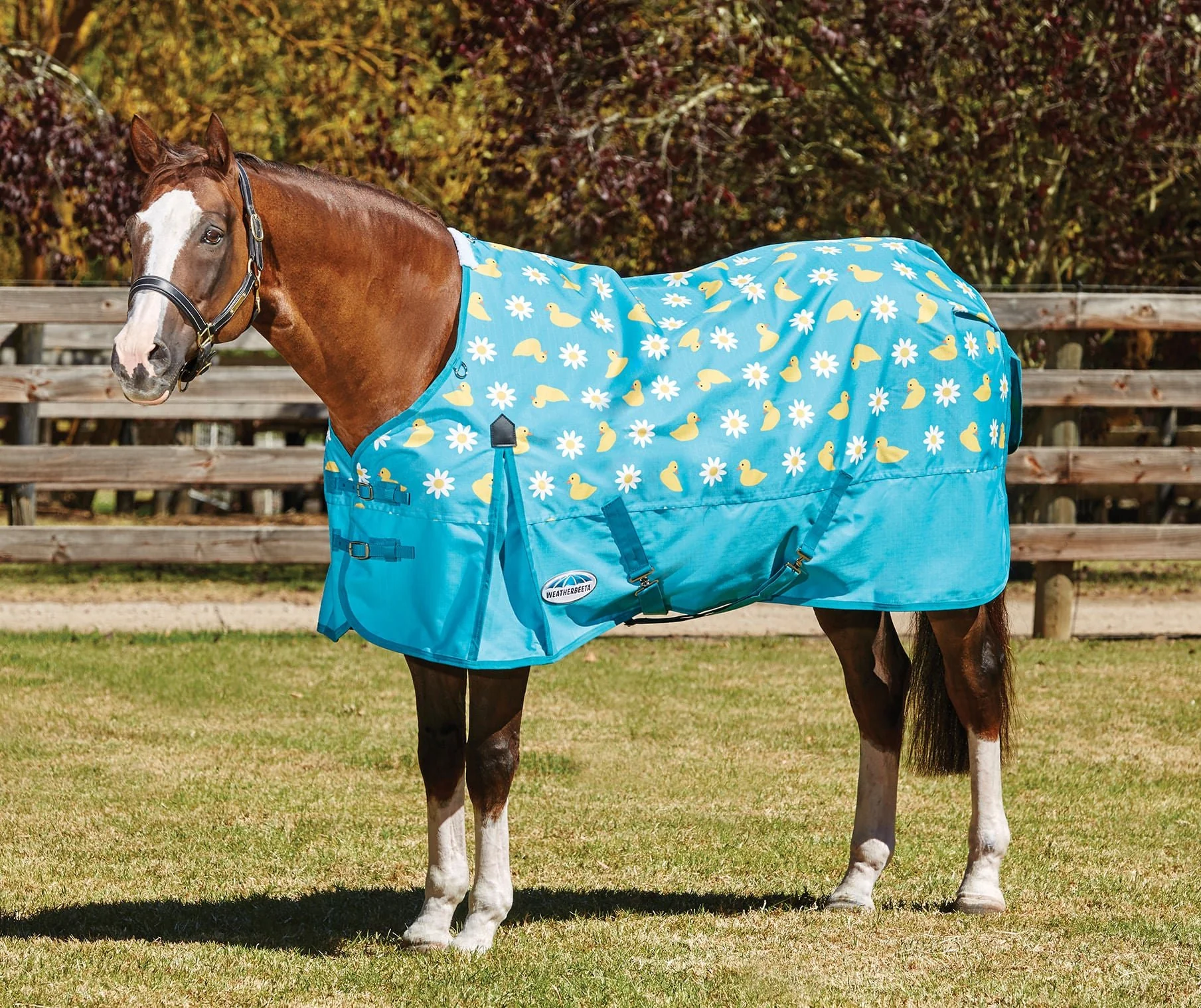 WeatherBeeta ComFITec Essential Standard Neck Sheet - Buy Pet Shop