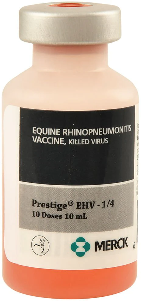 Prestige EHV-1/4, 10 dose - Buy Pet Shop
