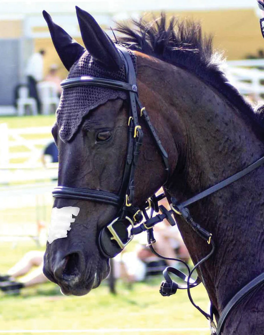 Flair Nasal Strips - Buy Pet Shop