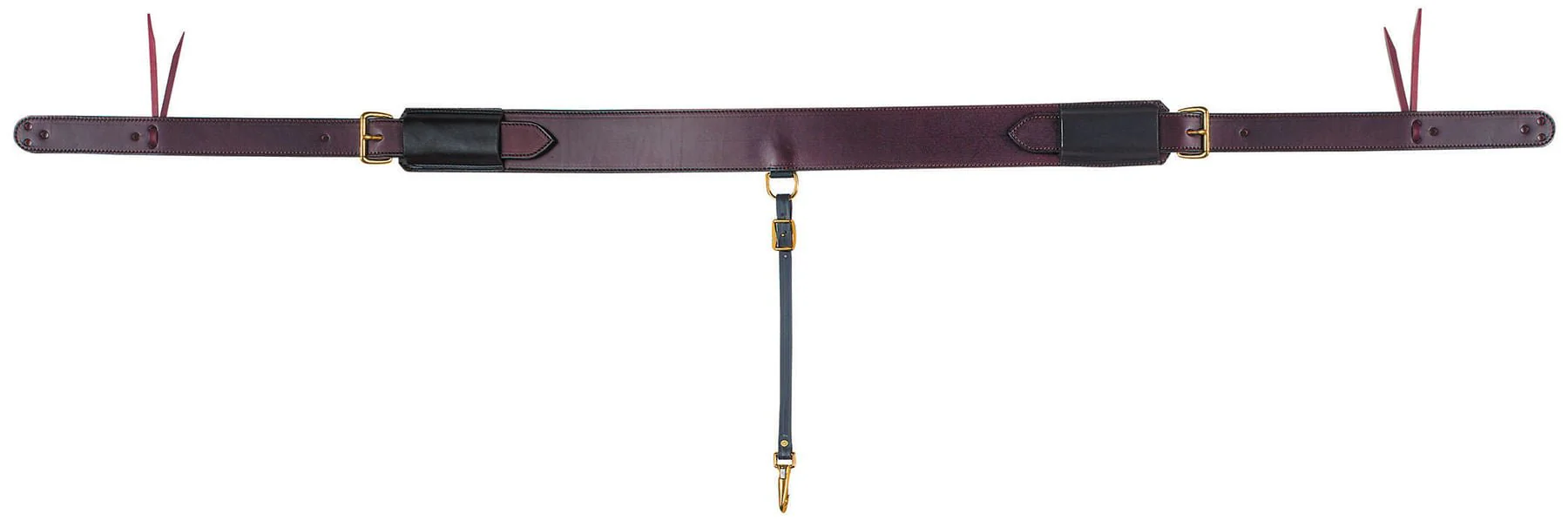 Tucker Leather Rear Cinch Set - Buy Pet Shop