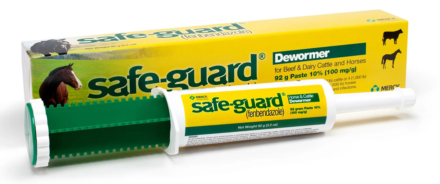 Safe-Guard Fenbendazole Dewormer Paste - Buy Pet Shop