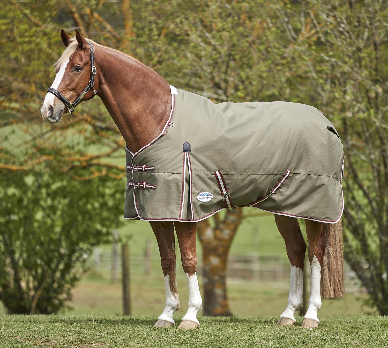 WeatherBeeta ComFITec Essential Standard Neck Medium Weight Horse Blanket - Buy Pet Shop