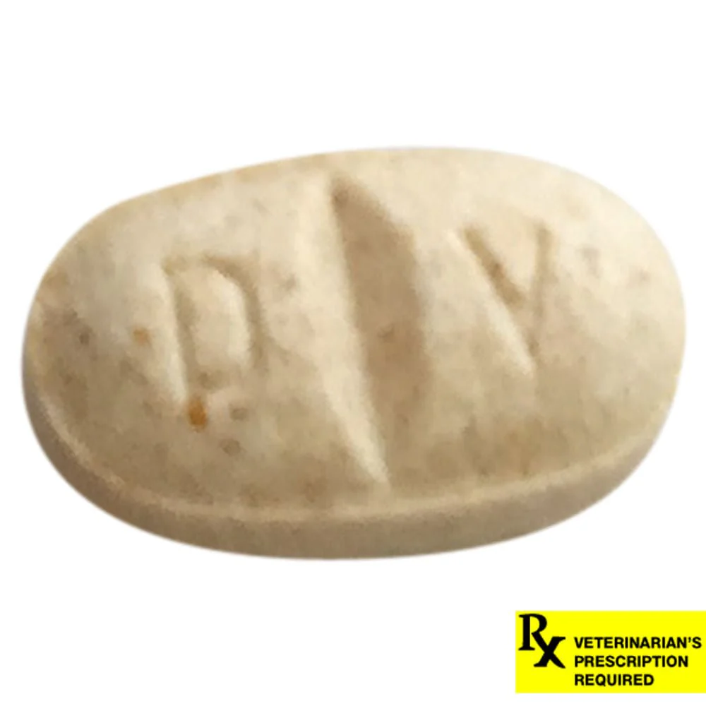 Rx Clomicalm (Clomipramine HCl) Tablets for Dogs - Buy Pet Shop