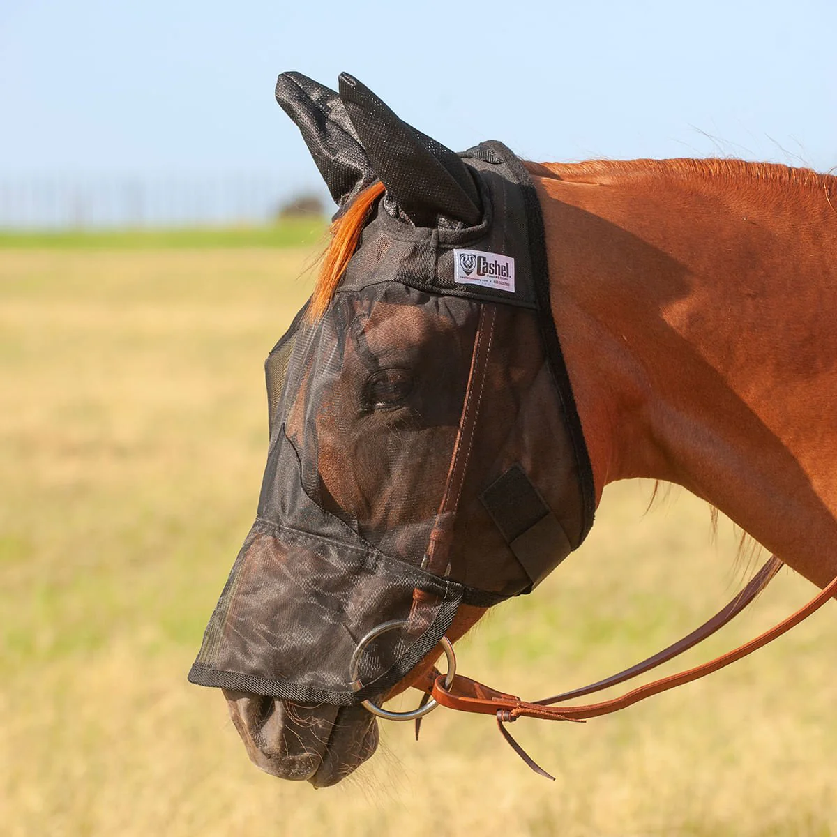 Cashel Quiet Ride Horse Fly Mask with Ears & Long Nose, Black - Buy Pet Shop