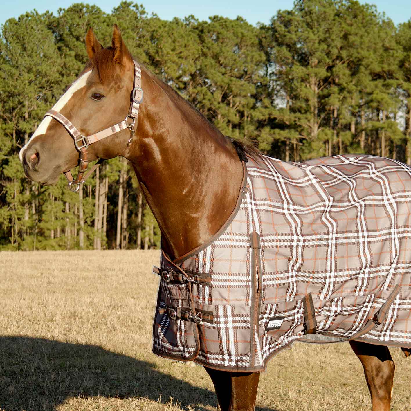 Poplar Head Refuge 1200 Denier Turnout Blanket, 240 Gram, Plymouth Brown Plaid - Buy Pet Shop