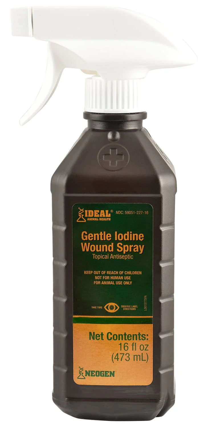 Iodine Wound Spray - Buy Pet Shop