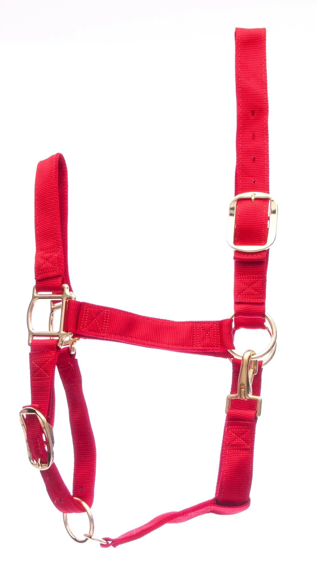 Weaver Draft Horse Halter, Regular (1400 - 1700 lb) - Buy Pet Shop