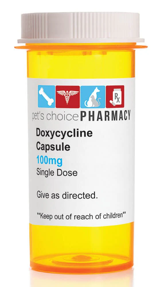 Rx Doxycycline Hyclate (Generic) Capsules - Buy Pet Shop