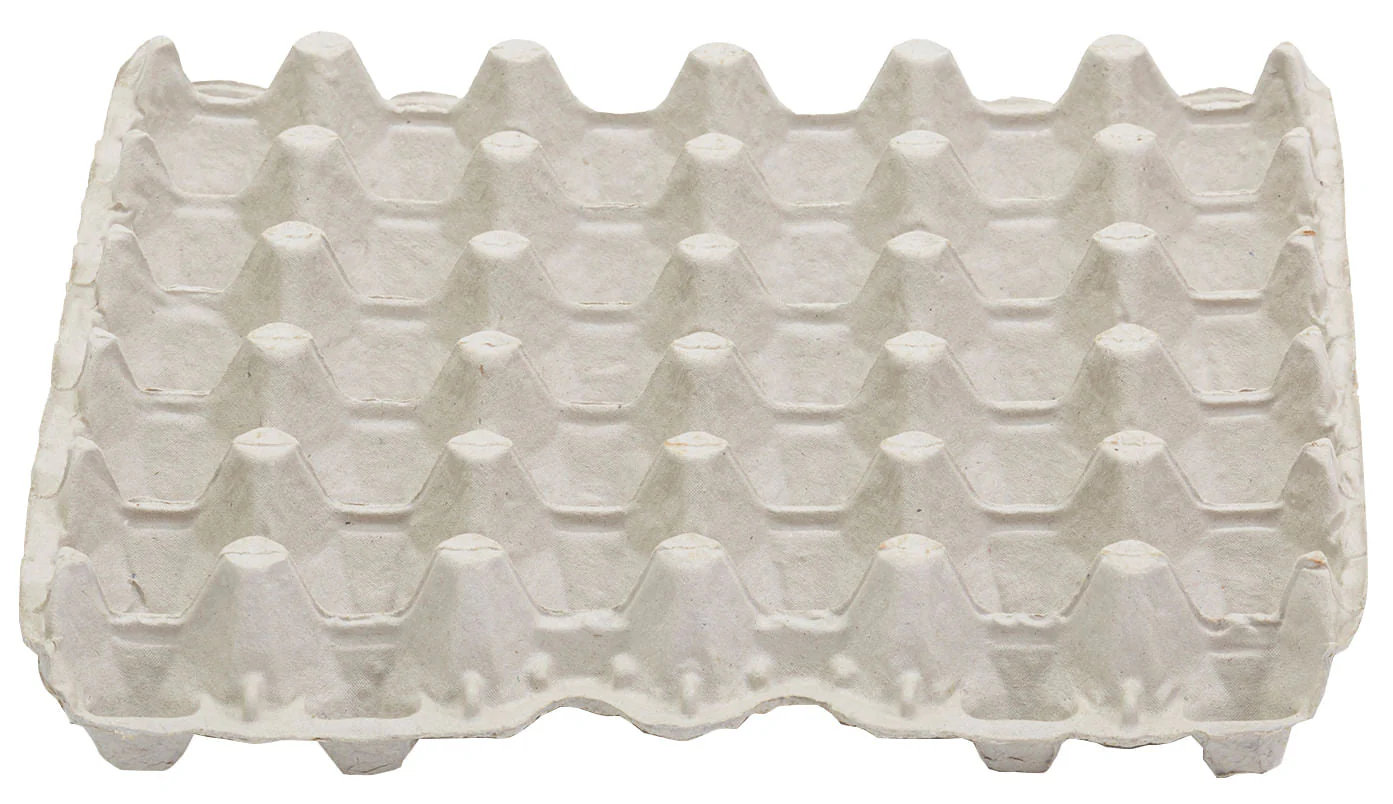 Egg Flats (holds 30 eggs), 12 pack - Buy Pet Shop