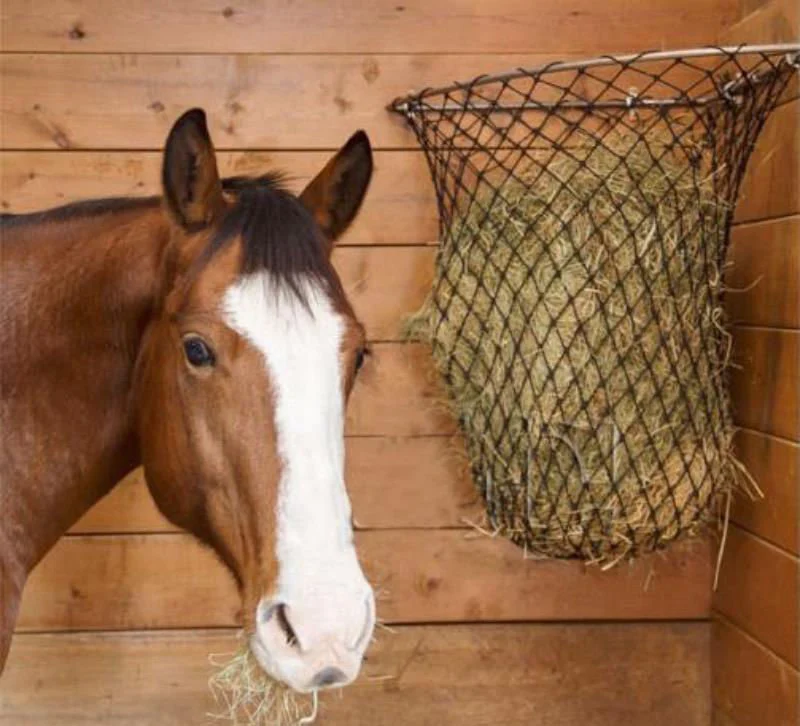 Hay Chix Corner Feeder Hay Rack - Buy Pet Shop