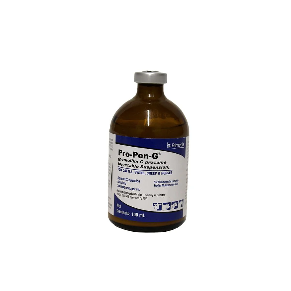 Rx Pro Pen G (penicillin G procaine) Injectable Solution for Cattle, Sheep, Swine, & Horses - Buy Pet Shop