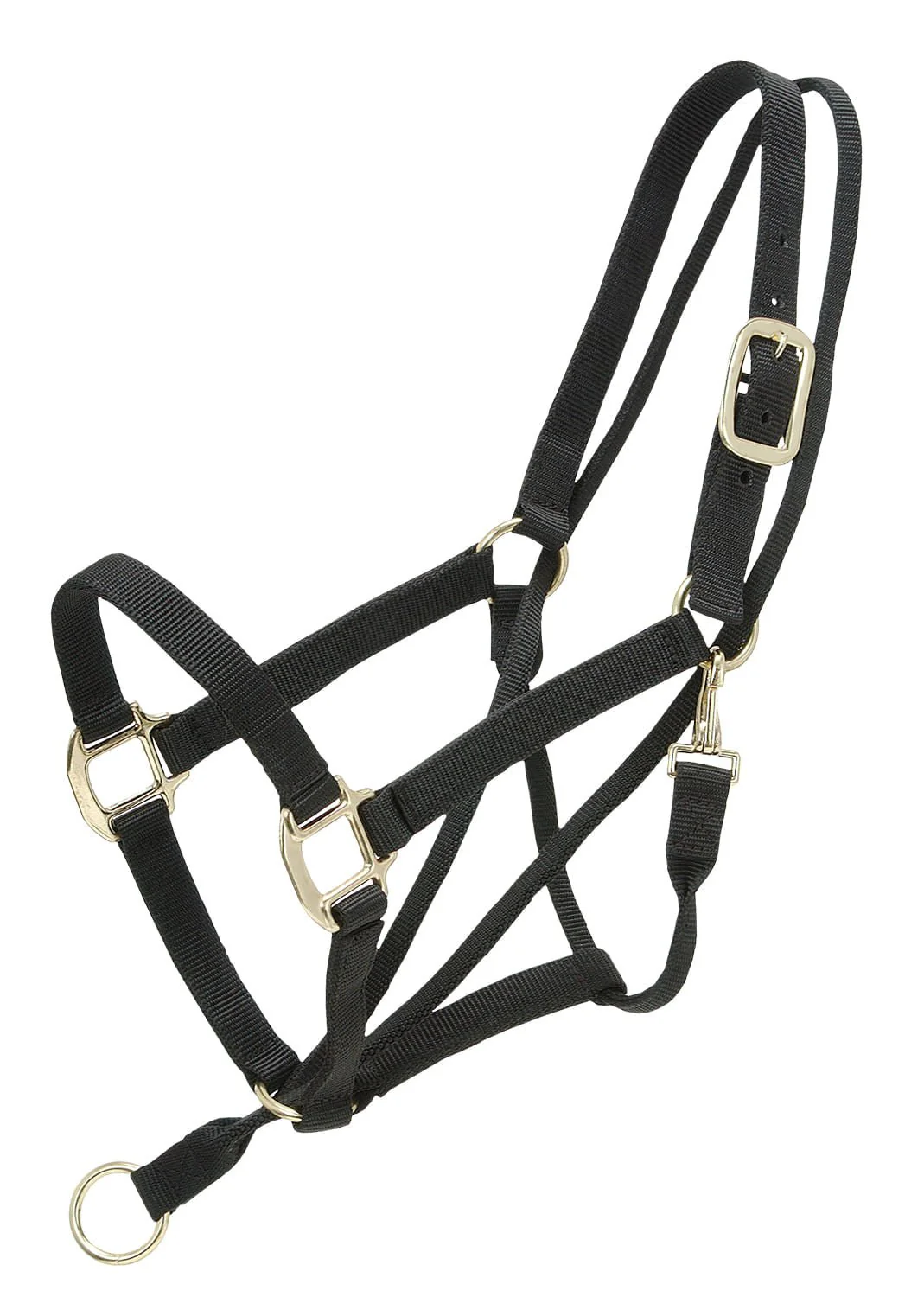 Pull-Back Halter - Buy Pet Shop