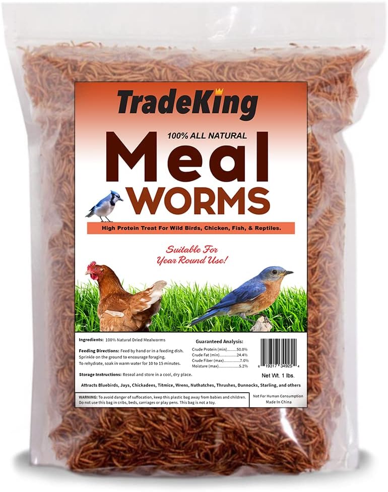 Dried Mealworms - Buy Pet Shop