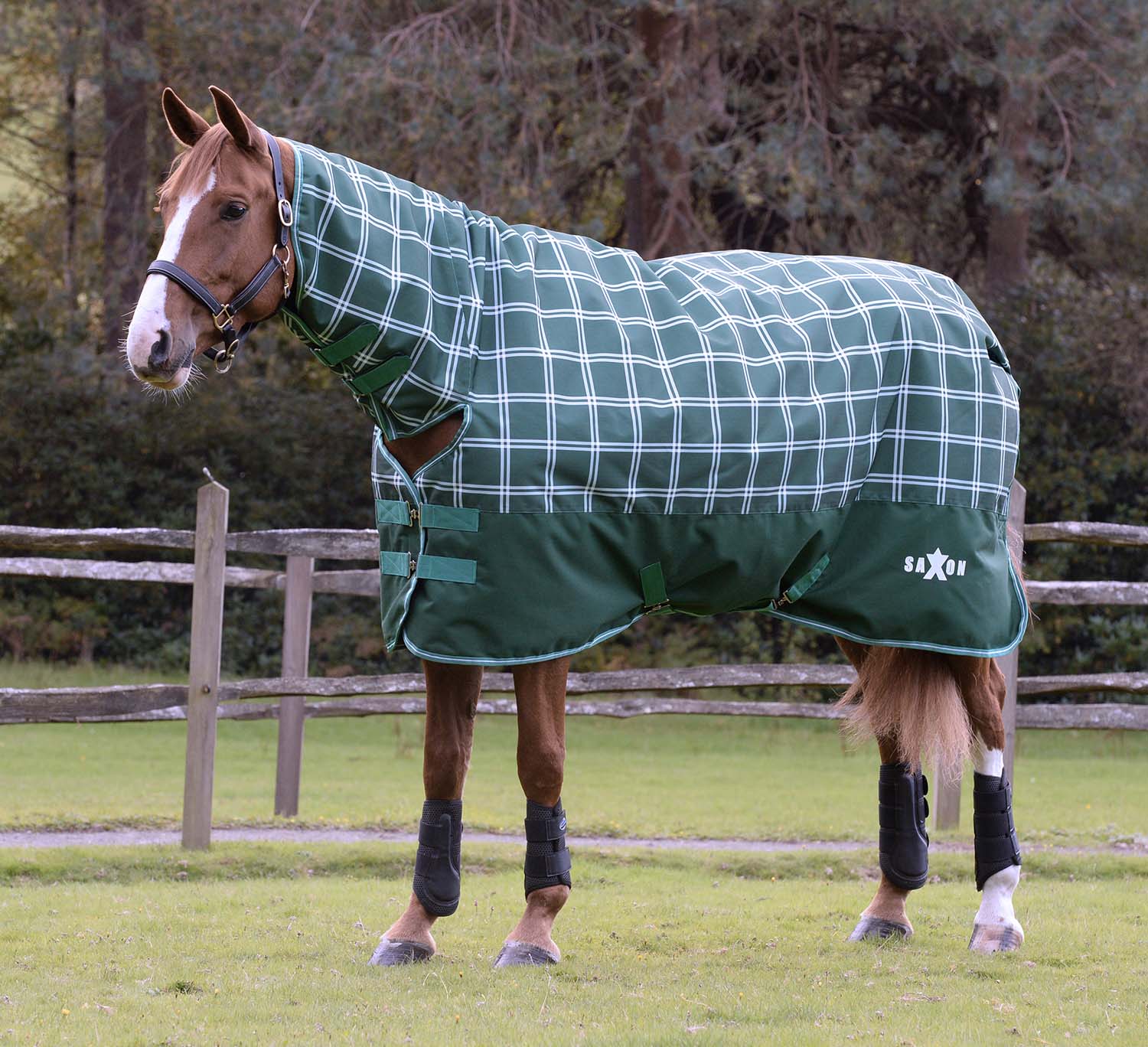 Saxon Defiant 1200D Combo Neck Medium Weight Horse Turnout, Hunter Green Plaid - Buy Pet Shop