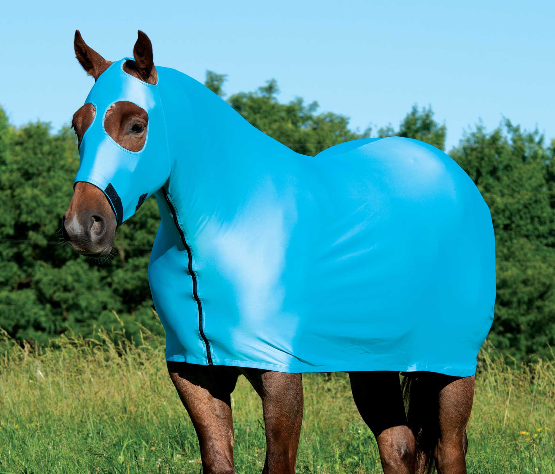 Coolcore Lycra Cooling Sheet for Horses w/ UV Protection - Buy Pet Shop