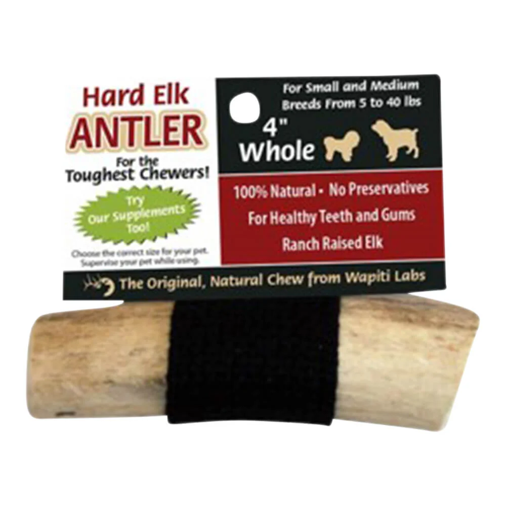 Wapiti Labs Elk Antler Dog Chews, 4