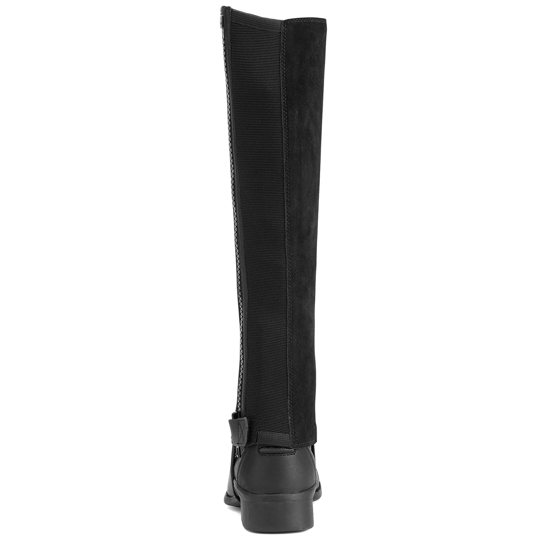 Ariat Scout Half Chap, Adult, Black - Buy Pet Shop