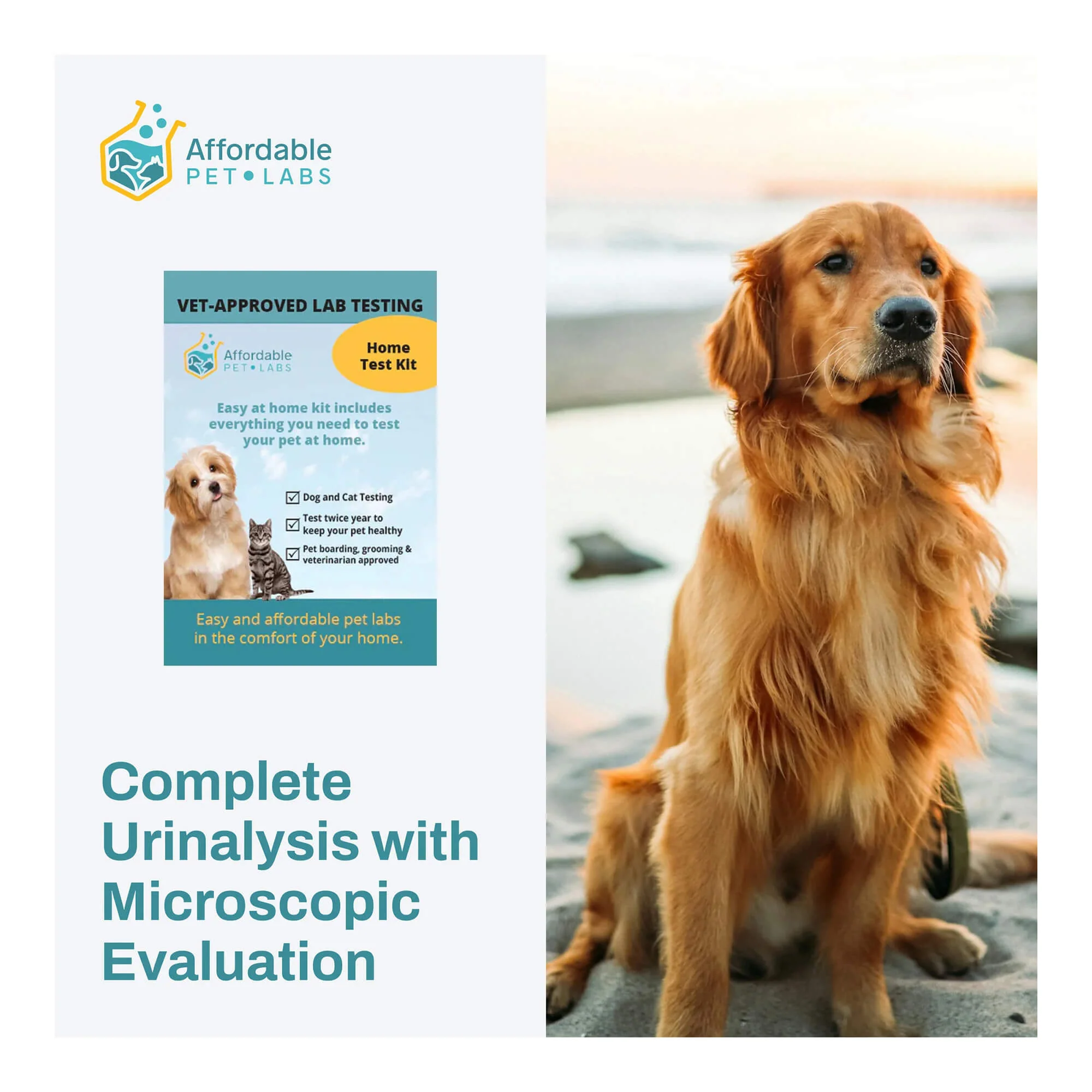 Affordable Pet Labs - Complete Urinalysis with Microscopic Evaluation For Dogs, Easy Home Kit - Buy Pet Shop