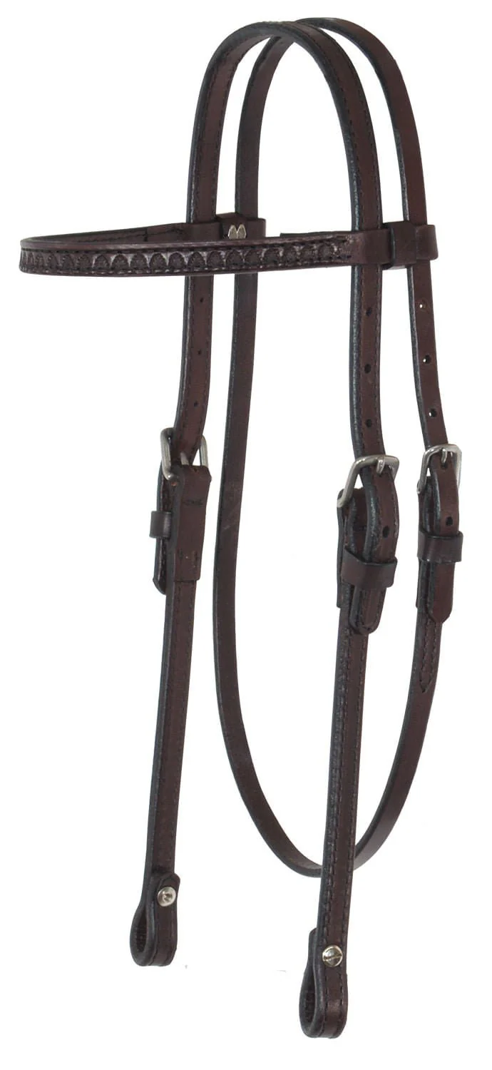 Circle Y Shell Tooled Browband Headstall - Buy Pet Shop