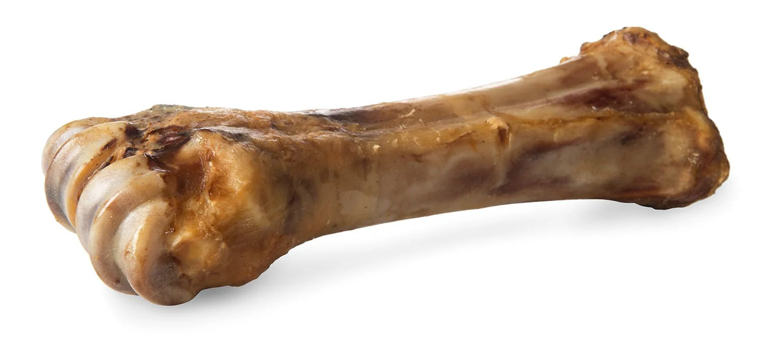 ChewMax Beef Shank Bone - Buy Pet Shop