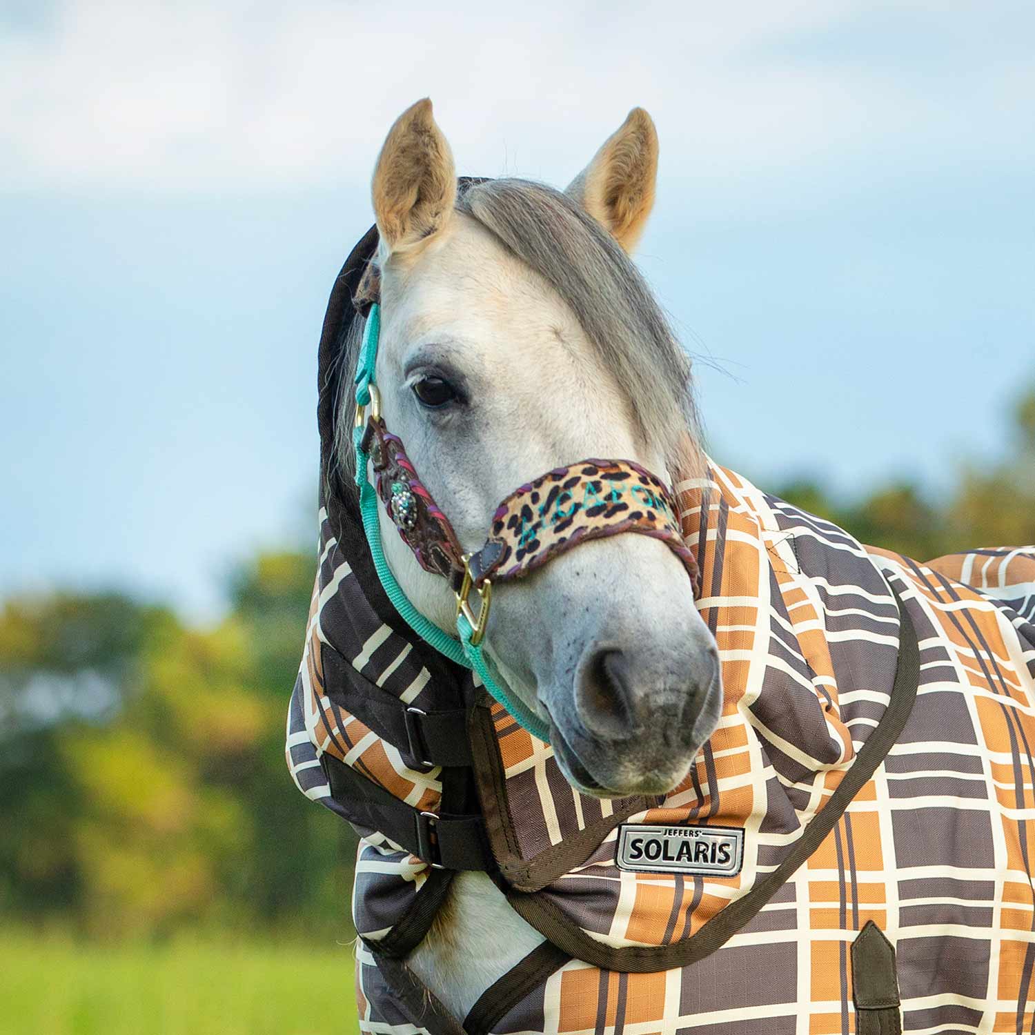 Pony Poppins Solaris Horse Neck Rug, 1200 Denier / 240g Fill, Brown & Cream Plaid - Buy Pet Shop