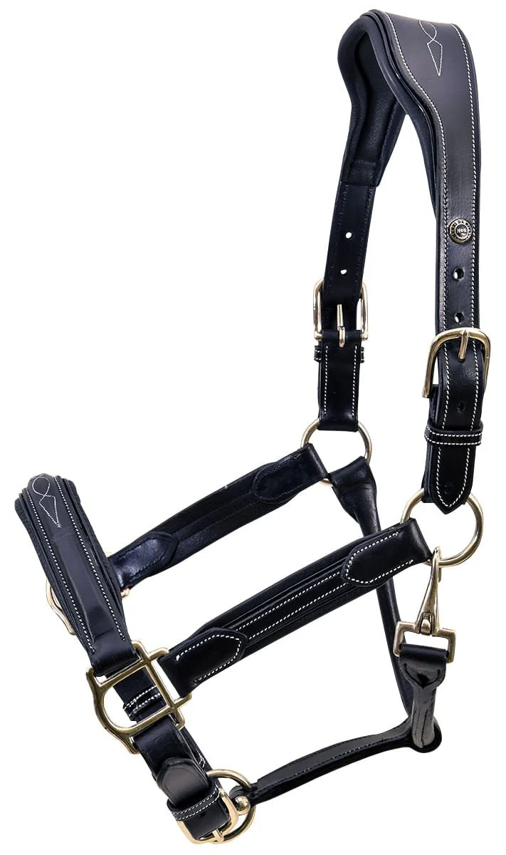 HDR Stress Free Fancy Stitch Leather Halter - Buy Pet Shop