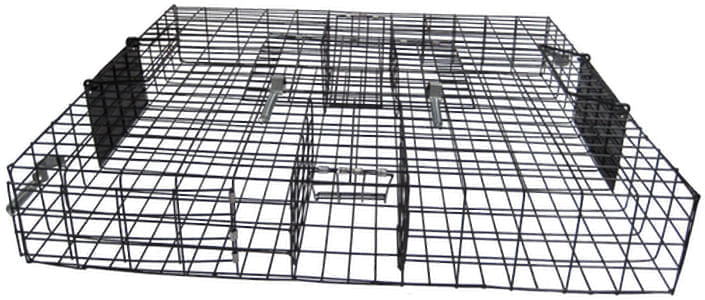 Squirrelinator - Buy Pet Shop