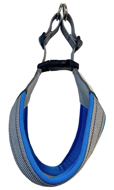 Doggy Tales Step In V Harness, Blue - Buy Pet Shop