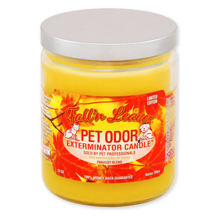 Pet Odor Exterminator Candle, Fall N Leaves, 13 oz - Buy Pet Shop