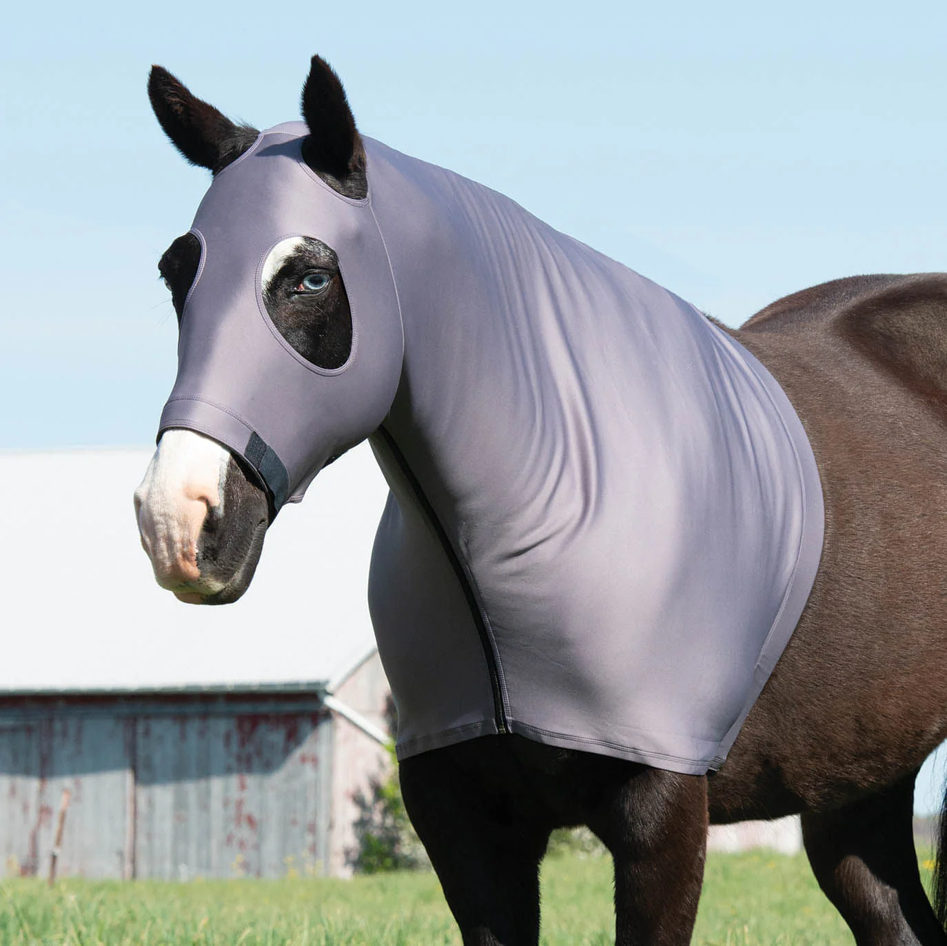 Coolcore Cooling Lycra Hood - Buy Pet Shop