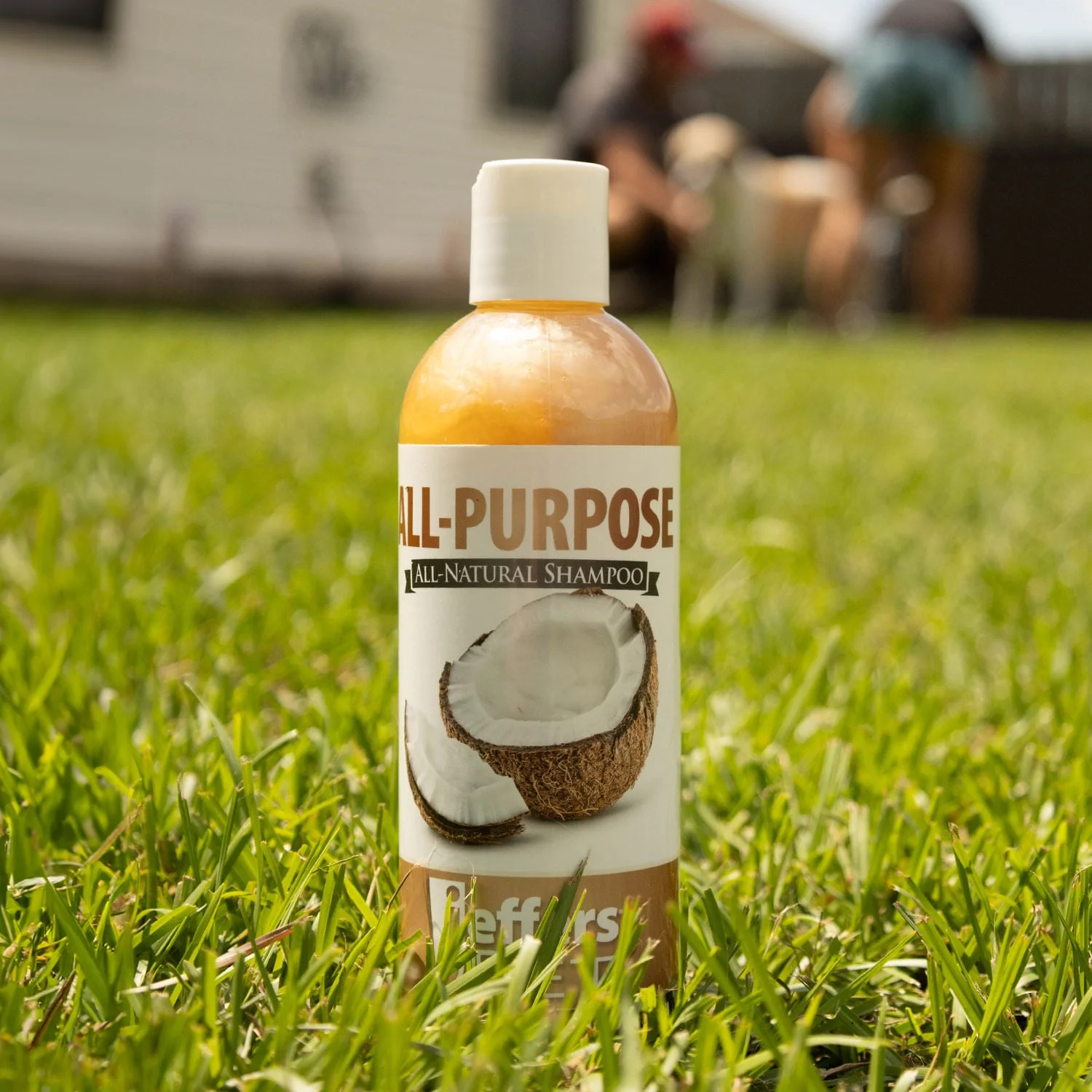 All-Purpose Coconut Oil Shampoo for Dogs and Cats - Buy Pet Shop