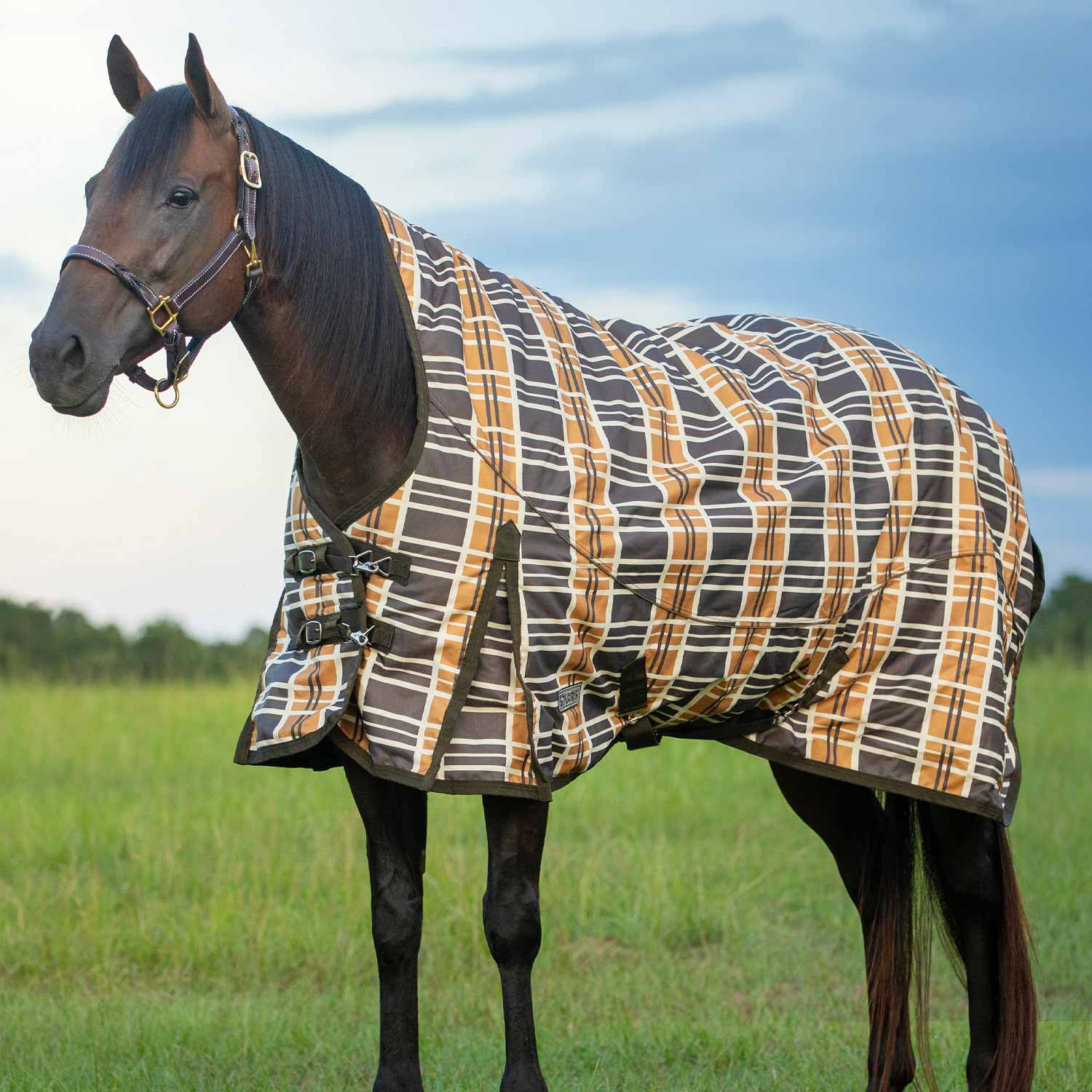 Solaris Extended Neck Horse Turnout Blanket, 1200 Denier, Brown & Cream Plaid - Buy Pet Shop