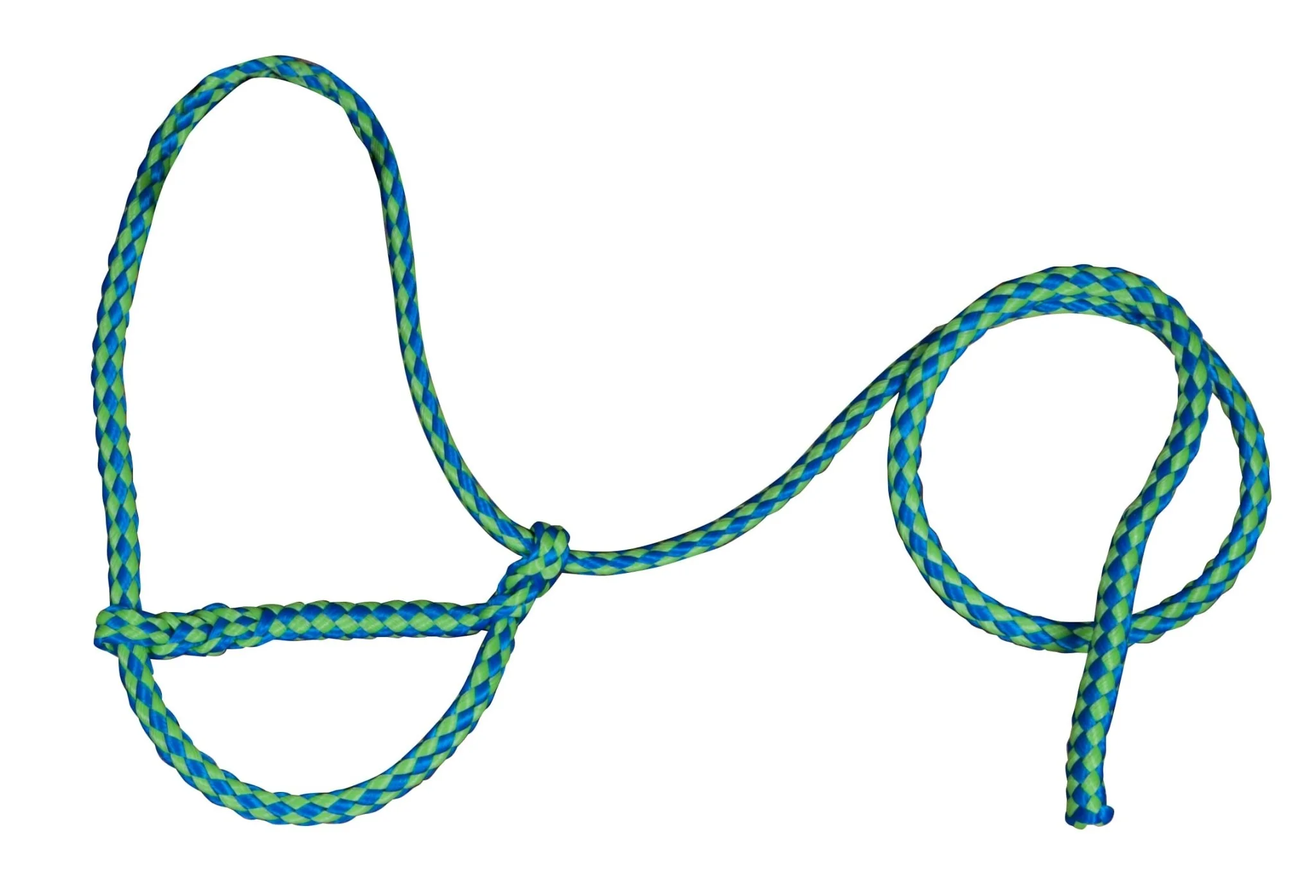 Troyer's Braided Poly Sheep Halter - Buy Pet Shop