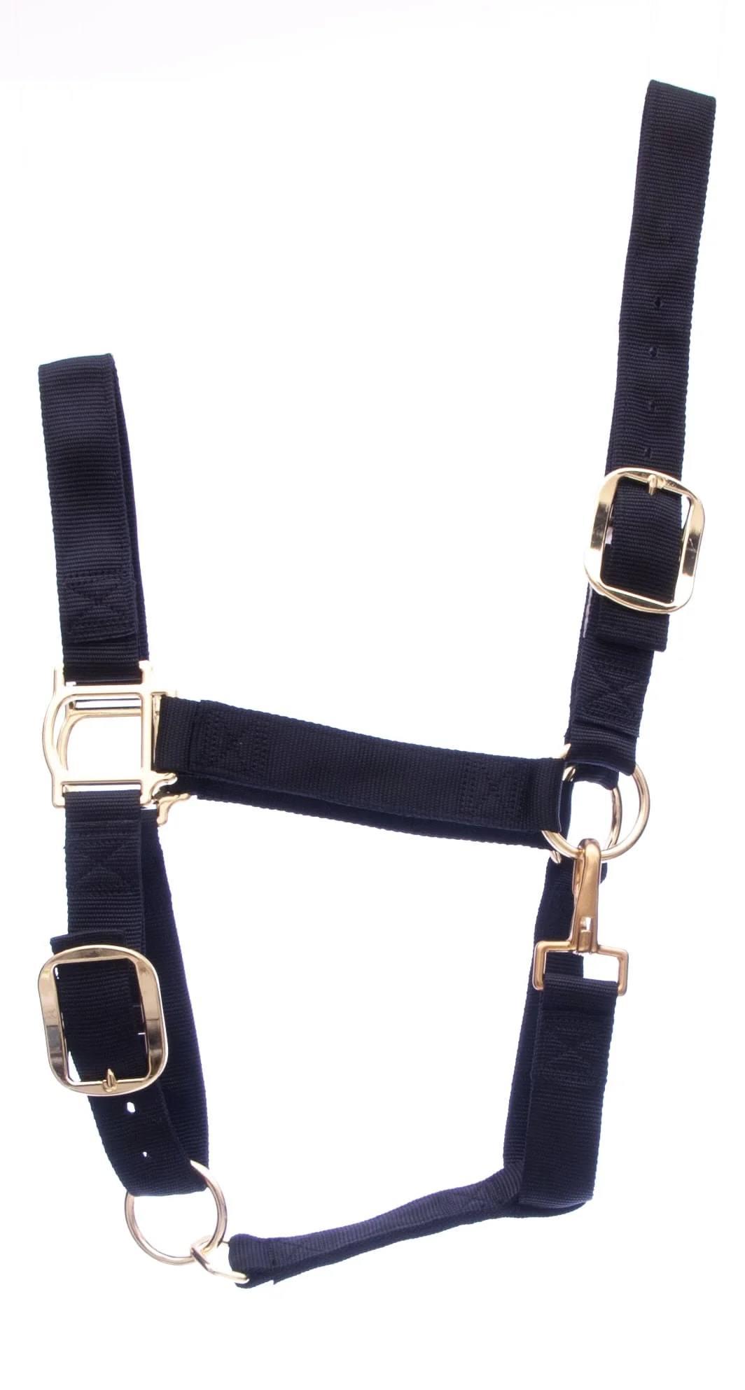 Weaver Draft Horse Halter, Regular (1400 - 1700 lb) - Buy Pet Shop