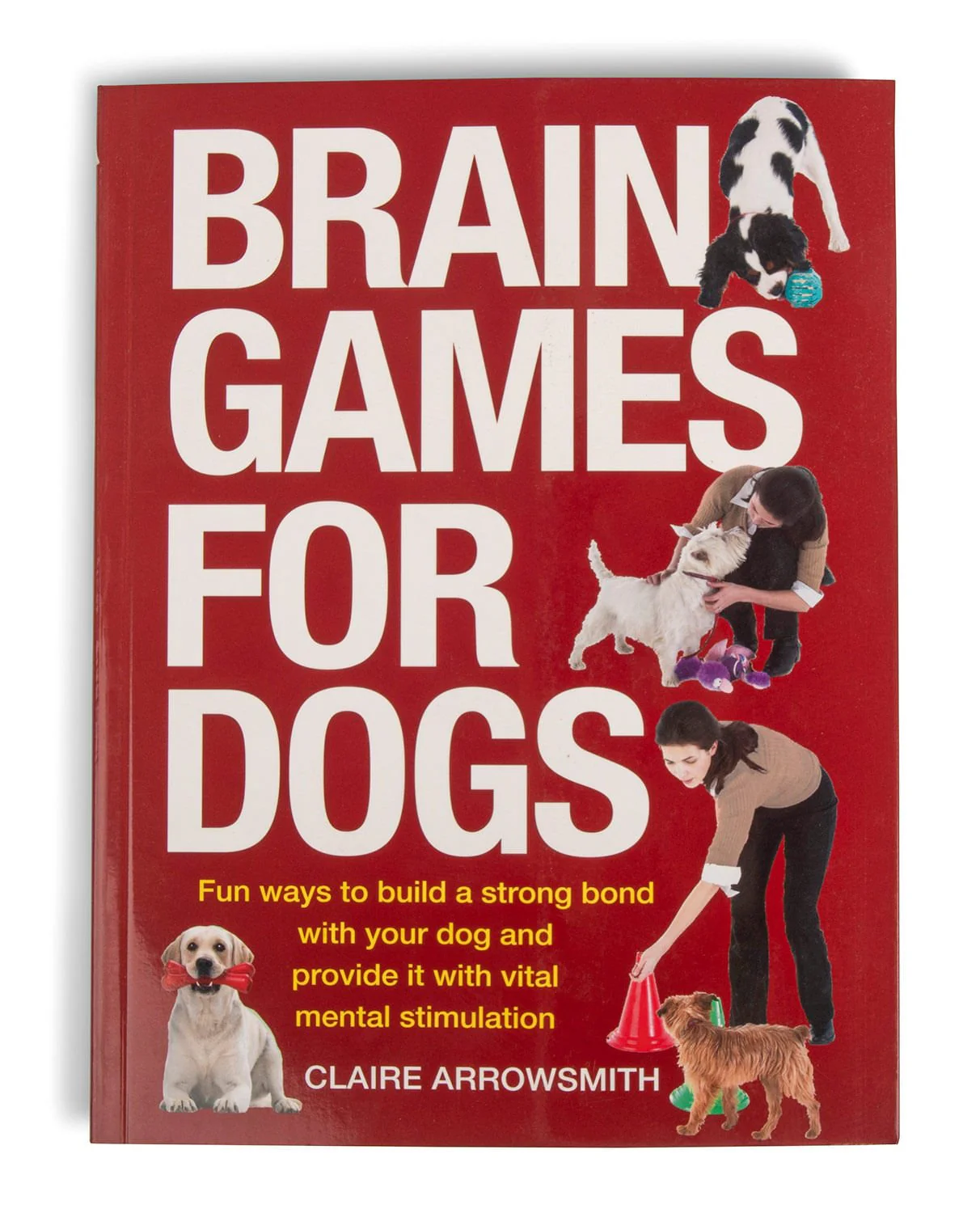 Brain Games For Dogs - Buy Pet Shop