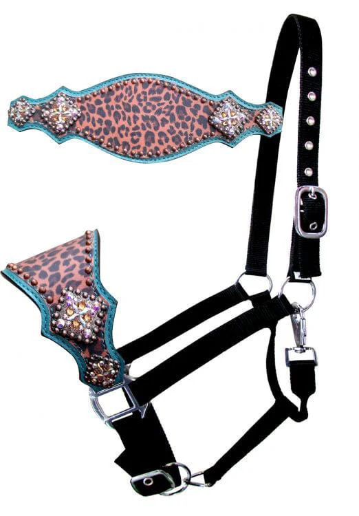 Showman Cheetah Bronc Halter, Cheetah/Teal - Buy Pet Shop