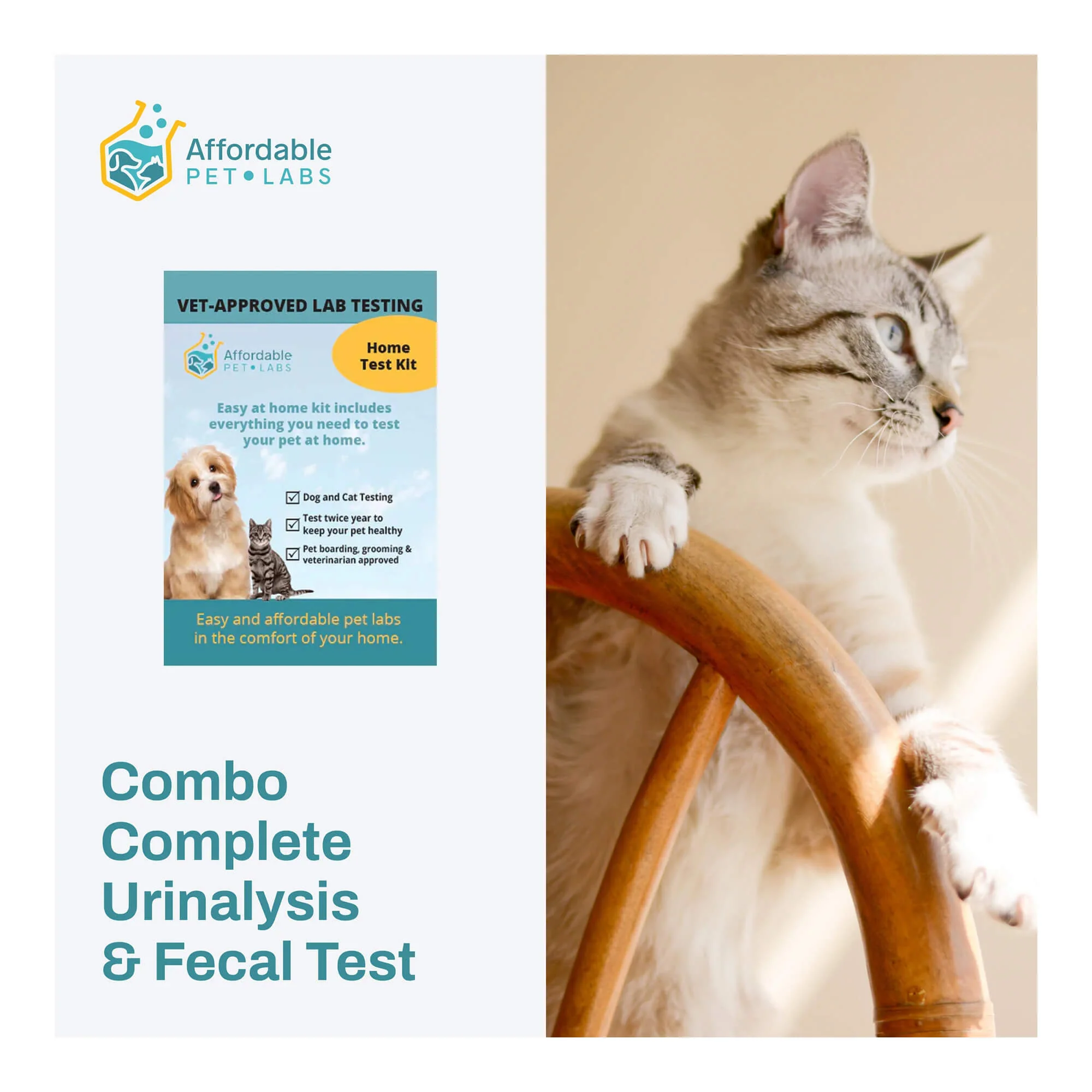 Affordable Pet Labs - Combo Complete Urinalysis & Fecal Test For Cats, Easy Home Kit - Buy Pet Shop
