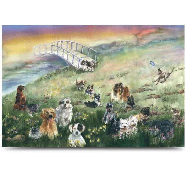 Rainbow Bridge Pet Sympathy Card - Buy Pet Shop